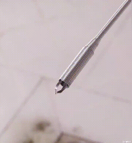 1574146518841805.gif