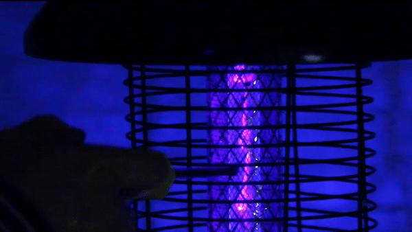 01.gif