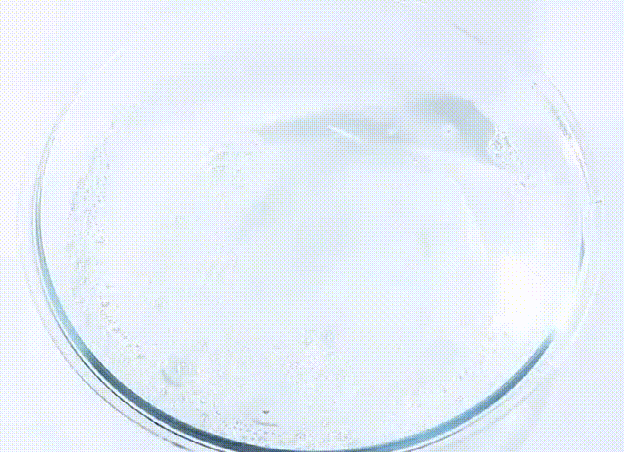 1602229832214659.gif