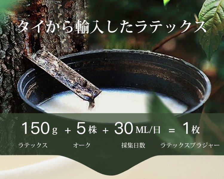 1612083005829879.jpg 小さく見せるブラ ラテックス