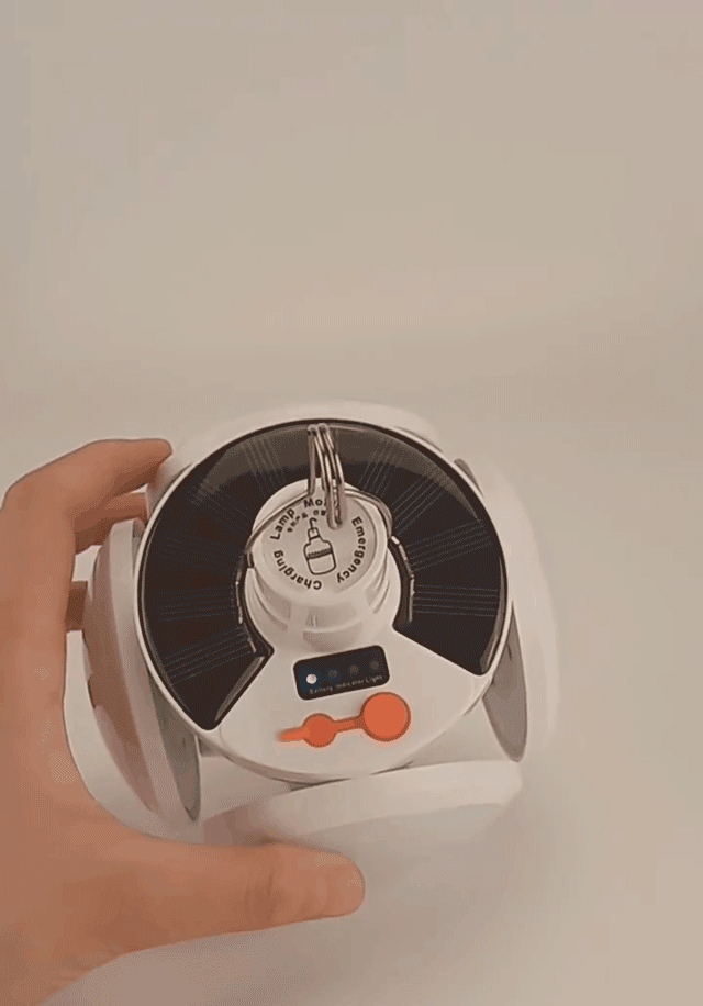 02.gif