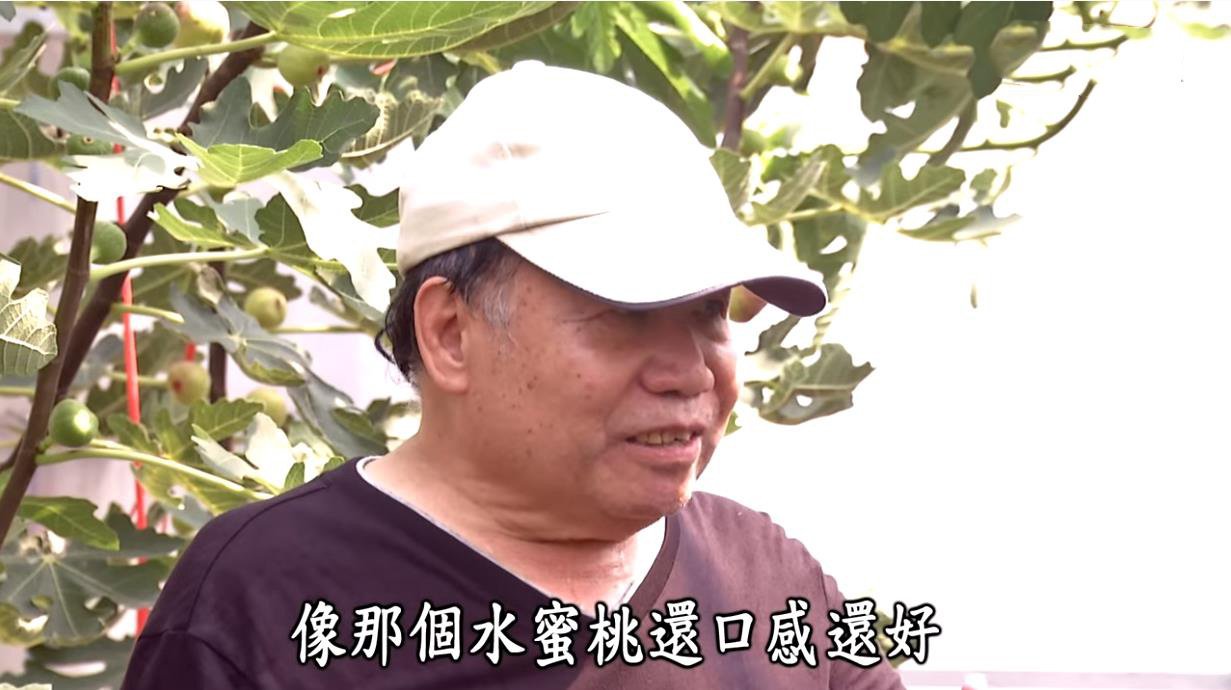 1628648949993949.jpg 優質無花果乾325.jpg