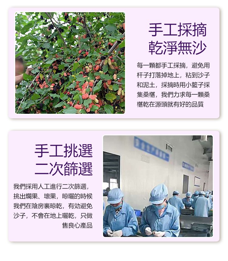 大顆粒有機桑椹幹 22 0938da81fab4542fba17536bcfb63fb0 大顆粒有機桑椹幹