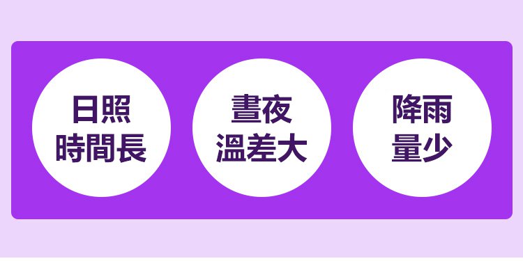 大顆粒有機桑椹幹 19 30837f43f88f89bdc9c768e0d9e12c8e 大顆粒有機桑椹幹