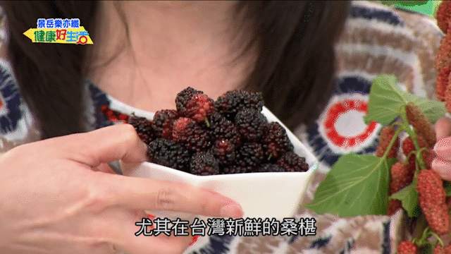 手作桑葚仙楂條 24 4c782cdc5f206b99a54d3225a761248a 手作桑葚仙楂條
