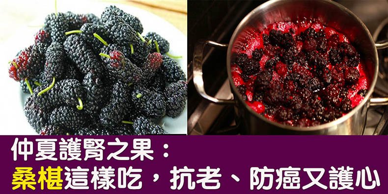 手作桑葚仙楂條 21 8fc7582a2e520c8da1cd33958cfaa71a 手作桑葚仙楂條