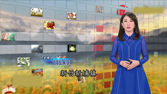 手作桑葚仙楂條 5 9795813eac49599a96048630d058fb15 手作桑葚仙楂條