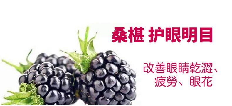 手作桑葚仙楂條 20 b6ca2455279cd78d7987fd0d51c8323e 手作桑葚仙楂條