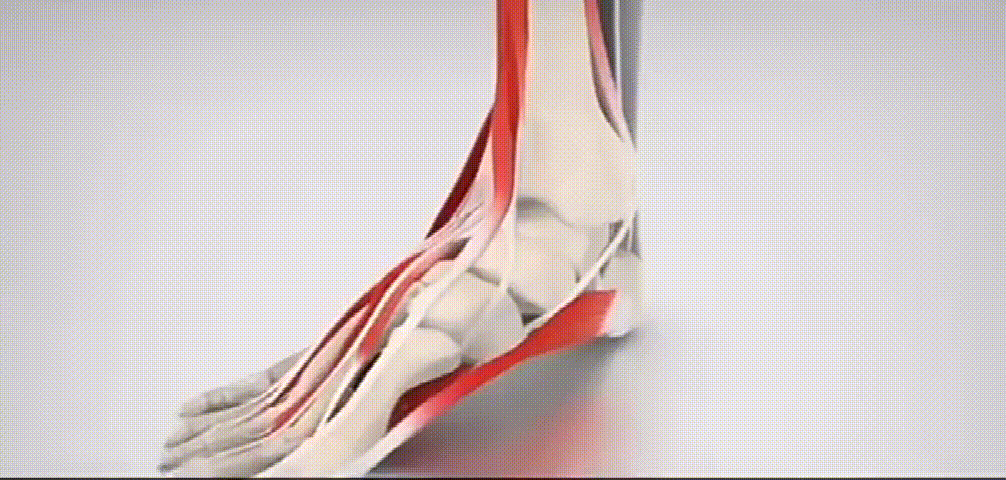 足跟舒筋活絡腳痛膏 15 e6152d160508054002cdf3bda0e8eb51 足跟舒筋活絡腳痛膏