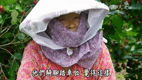 大顆粒有機桑椹幹 7 f3250abab3044641bdebecf9b7c91397 大顆粒有機桑椹幹