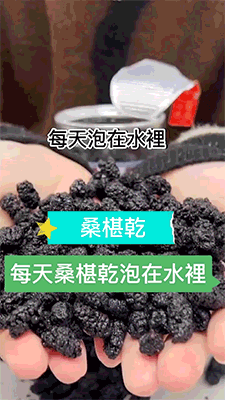 大顆粒有機桑椹幹 12 fda28b3dc8e5841f731a03f2630d9e37 大顆粒有機桑椹幹